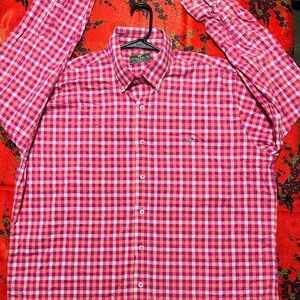 Classic Button-Down Gingham Shirt in Pink for Men
